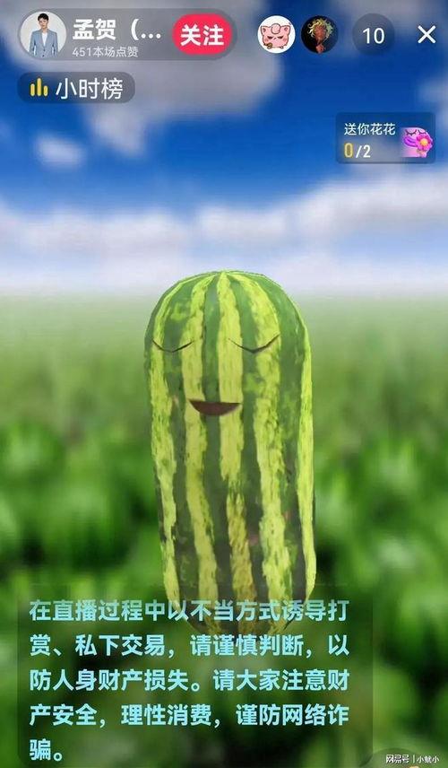 十月新瓜最新爆料,娱乐圈风云再起，神秘事件引热议